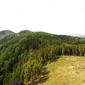 Sztuczna polana nad startowiskiem. To by było super miejsce do startu.