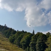 Dzikowiec Paragliding Fly, Druga tura.