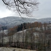 W drodze z Głuszycy do Rybnicy widok w stronę Grzmiacej.