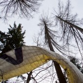 Kolejne drzewo na Mieroszowie, Winda w dół miała dobre 10, a może i 15 metrów.