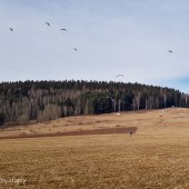 Mieroszów Paragliding Fly, Coroczny marcowy super warun na Monte Muero
